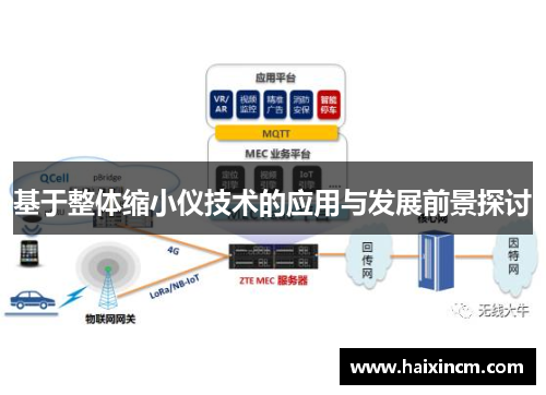 基于整体缩小仪技术的应用与发展前景探讨